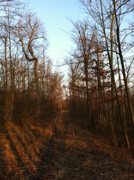 Big Limestone Trail